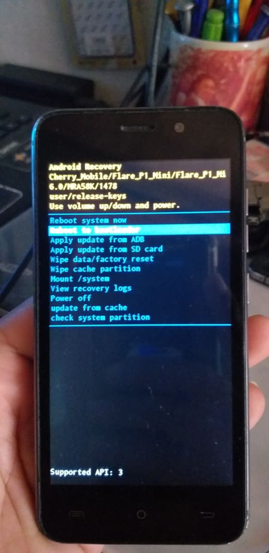 59379743_2260940827479772_5777786041771491328_n