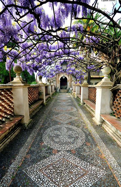 purplearchway.jpg