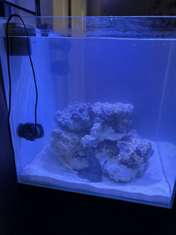 E59EB2C0-228A-4AA0-B93A-006457F85461