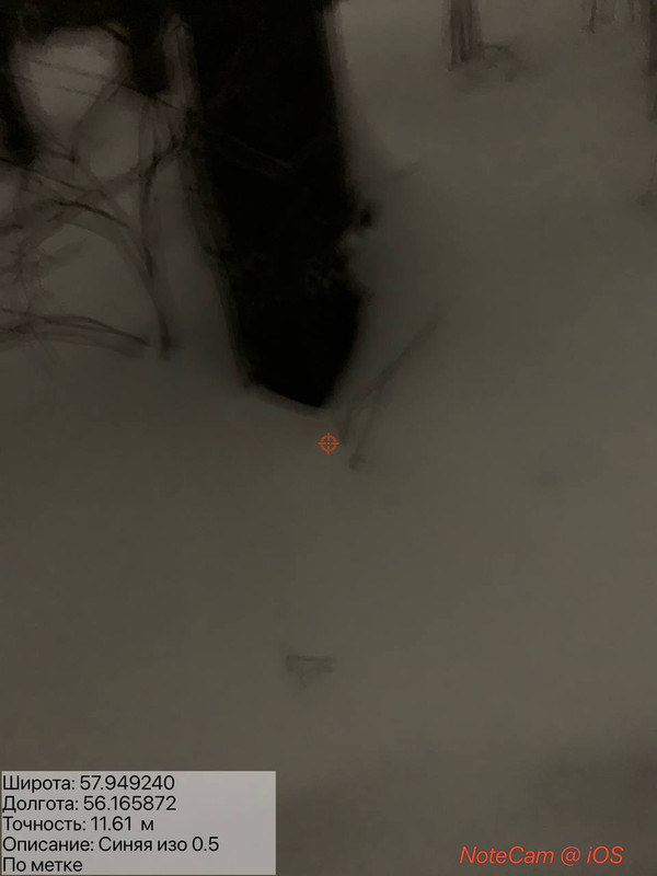 photo 30 2026 02 18 13 40 11