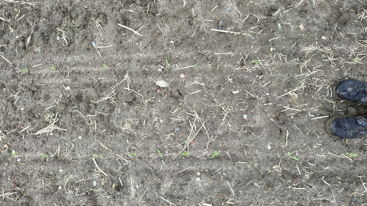 Good example of crop image