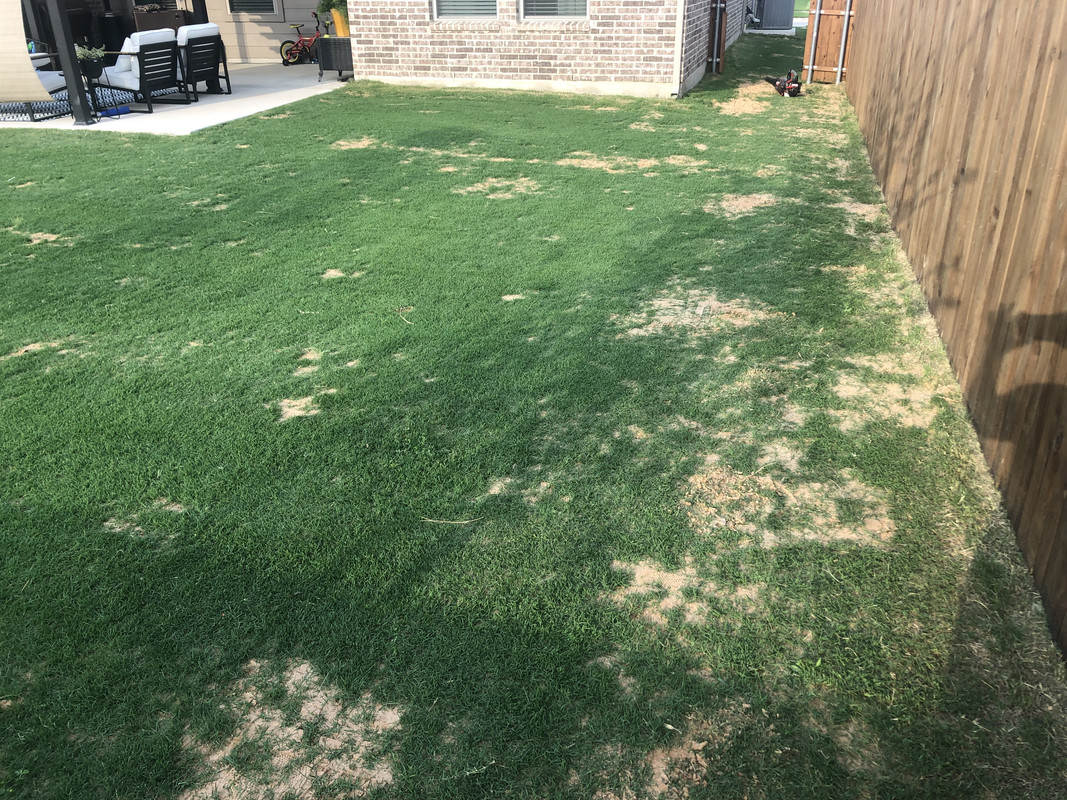 AF5CC9A5-D484-4373-861F-9818860A1460