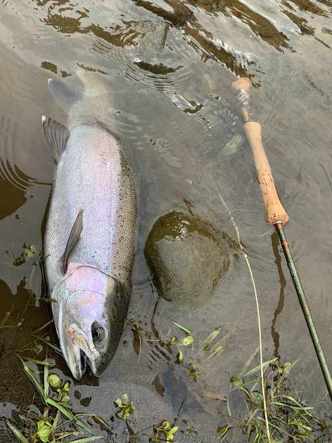 FEDA859D-A7E3-4ADB-8E95-6EA211B77FB8