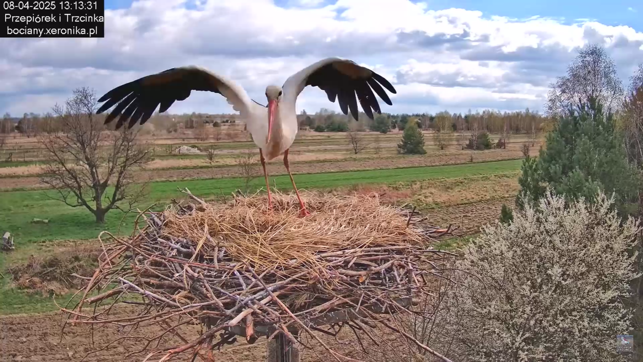 08.04.2025Terytorium Przepiórka_12
