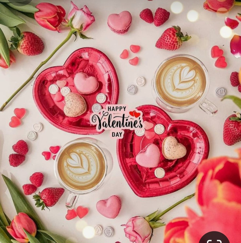 Screenshot_20240206_185437_Pinterest