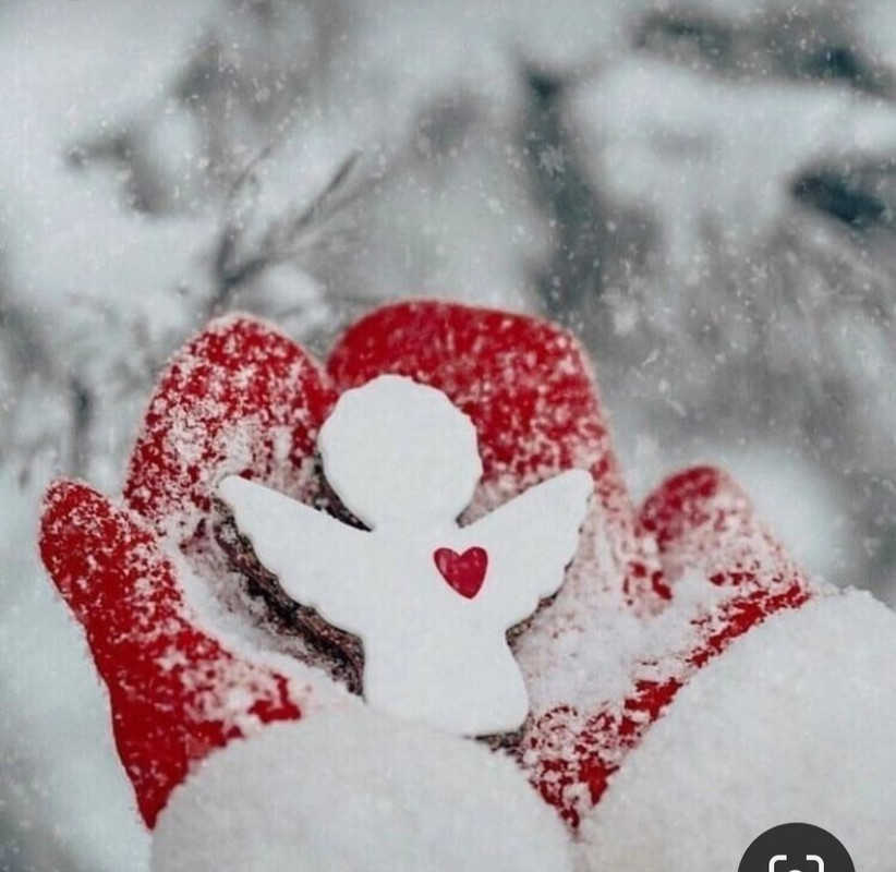 Screenshot_20231211_182609_Pinterest