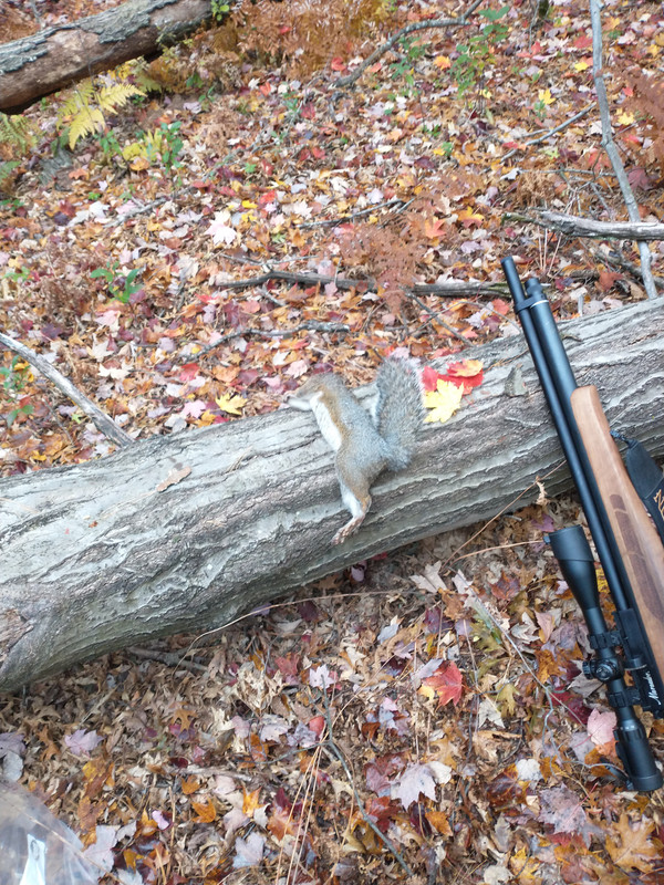 IMG_20221015_081745454