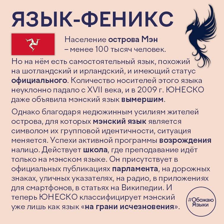 https://i.postimg.cc/zfLh1skV/1000069179.jpg