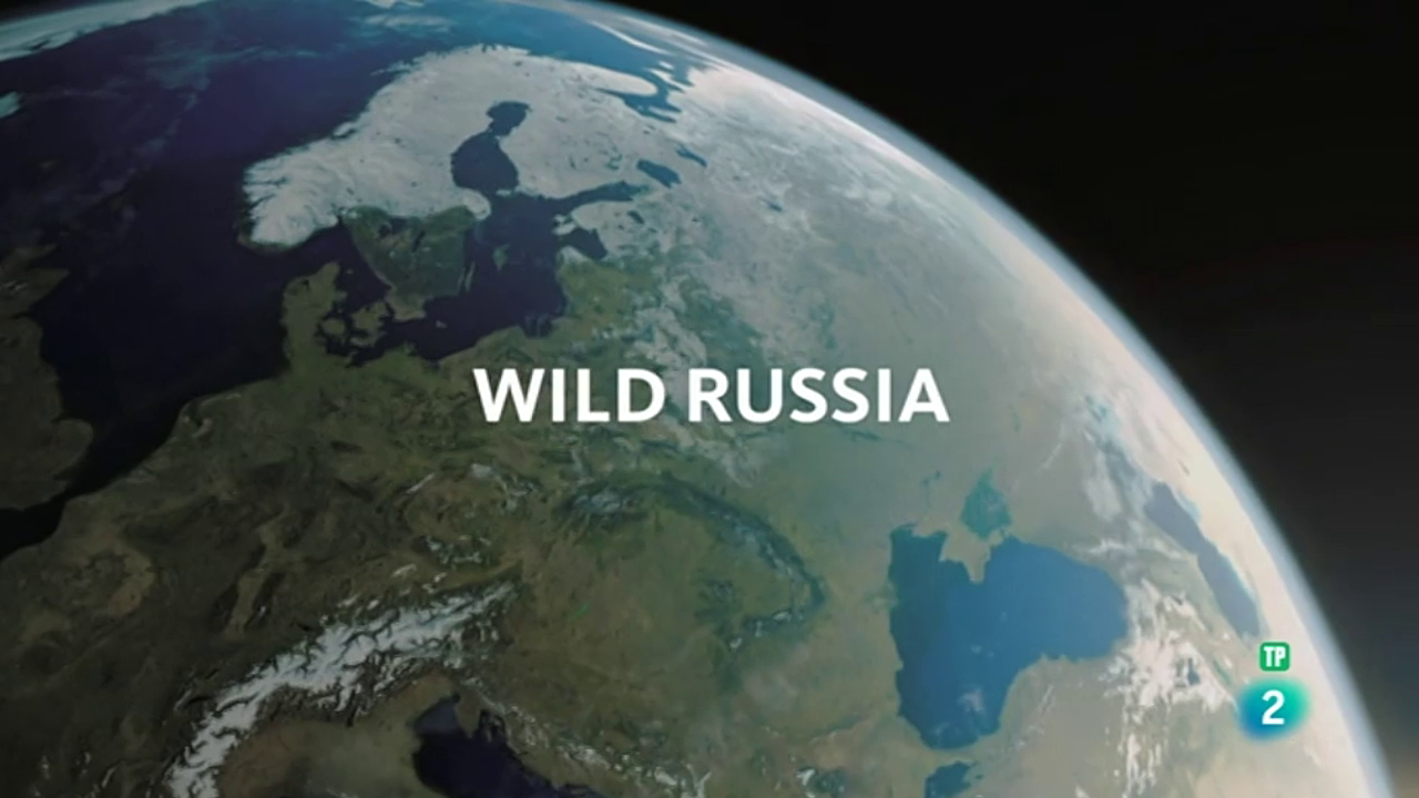 Rusia salvaje: el reino de los osos y los volcanes (2019) 