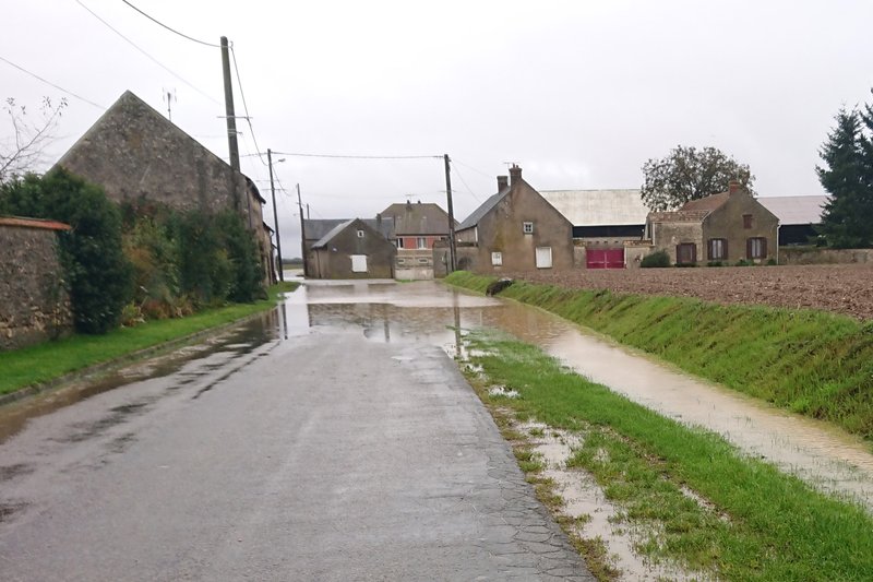 [Image: DSC-3228.jpg]