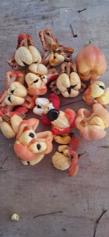 Whats App Image 2025 12 30 at 6 48 41 PM