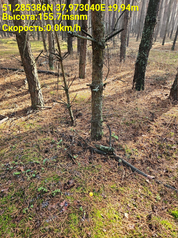 Time Photo 20251023 120335