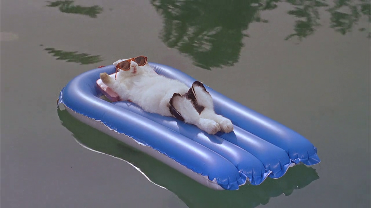 vlcsnap 2025 12 21 16h09m59s555