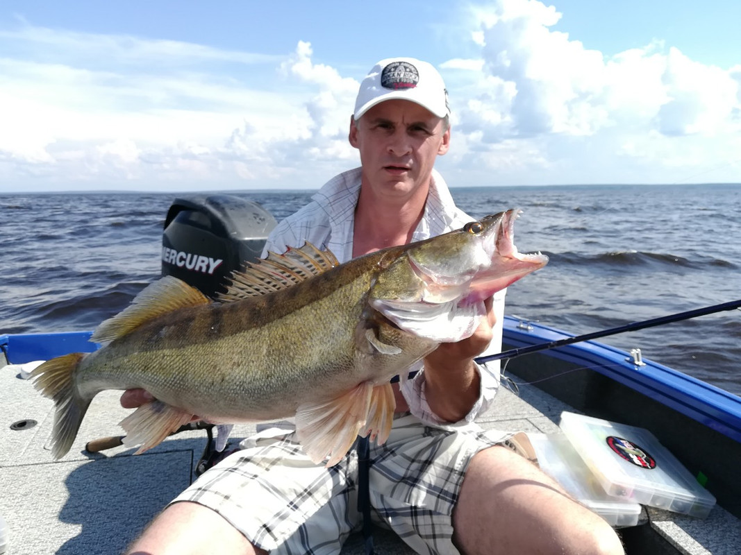 IMG_9852-30-01-20-10-44 (3)