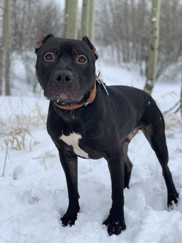 EEFC0FF7-B98D-4633-9DF2-566DB3F81627