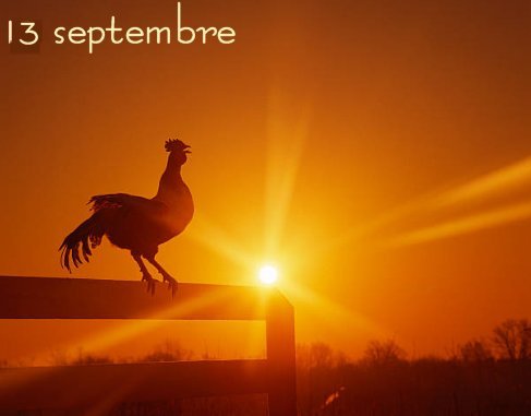 13-sept.jpg