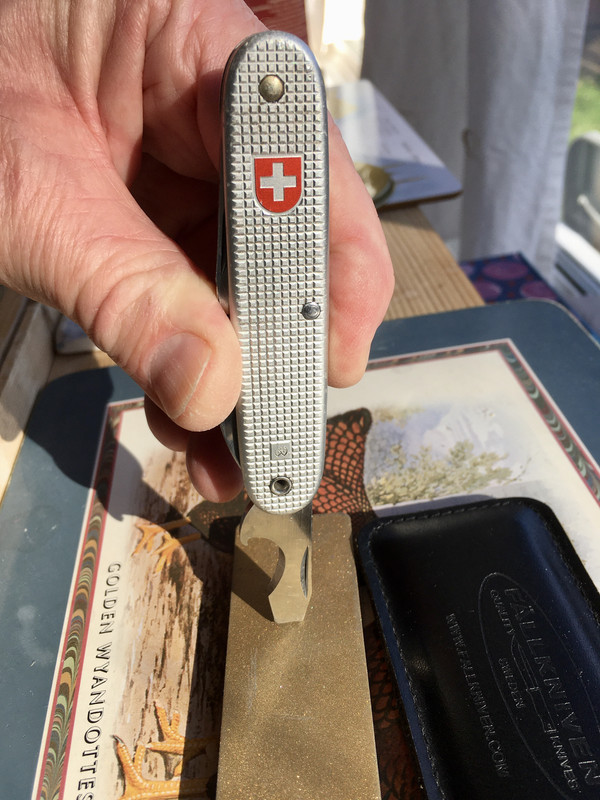 B924862F-EB9B-48A5-A017-0D186DADB1D5