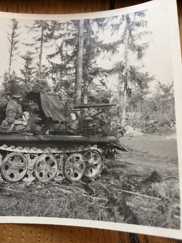 Wehrmacht Gebirgsjäger Panzer Original Foto