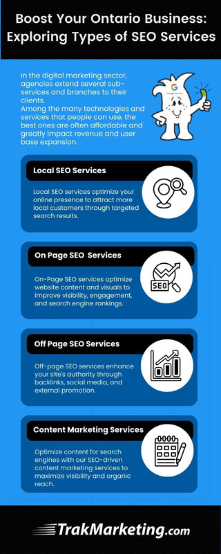 Boost Your Ontario Business Exploring Types of SEO Services