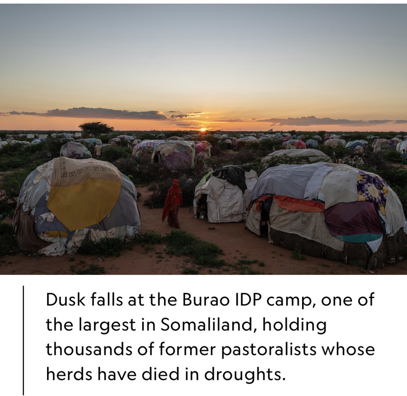 2170-A58-D-F981-4-E02-9708-327-B91-B555-