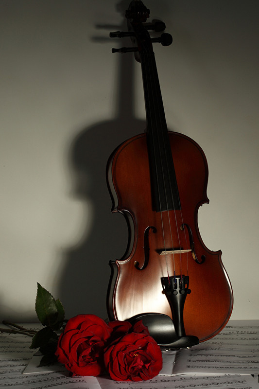 Violin-Roses-Wine-color-563800-640x960.jpg