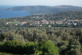 ΔΕΝ ΥΠΑΡΧΕΙ ΦΩΤΙΑ ΣΤΗΝ ΚΑΛΛΙΜΑΣΙΑ - ΕΠΙΚΟΙΝΩΝΙΑ ΜΕ ΤΟΝ ΠΡΟΕΔΡΟ 