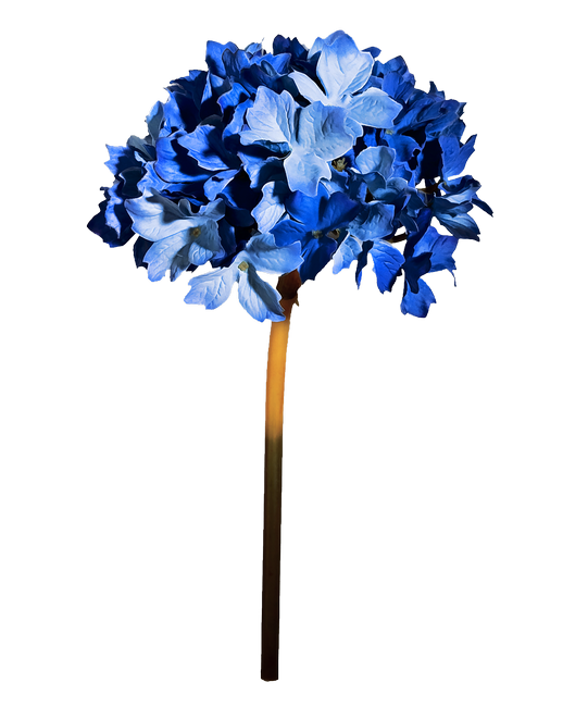 PeacockDreams_MM_Element (139)