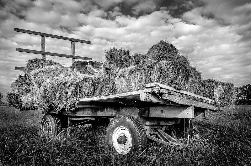 blacknwhiteoldhaywagonontario.jpg