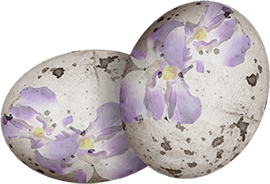 KBK_InTheSpring (138)