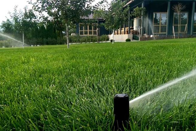 Automatinės laistymo sistemos veikimo principas ir ką svarbu žinoti