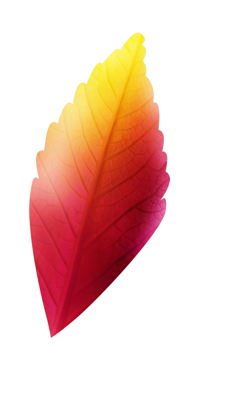 IPD_WP_Element (180)