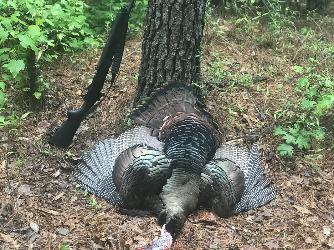 C7524FD8-D545-48E0-BBDD-08ECC8295426