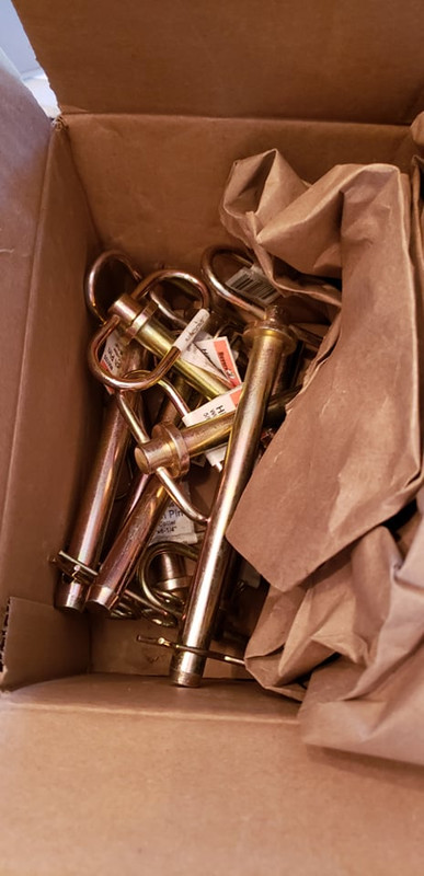 231617159_262757758997878_8911170138504872296_n