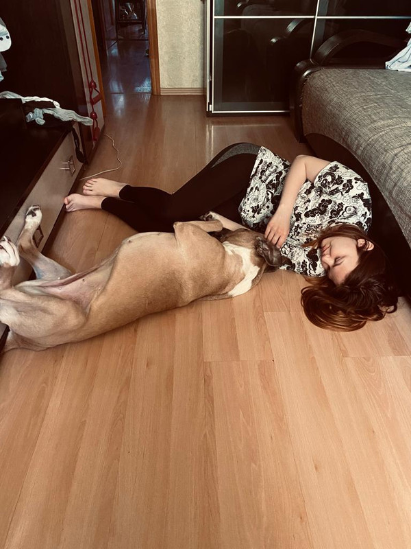 2249EA10-5869-4414-BBC9-D3ED7485E6E9