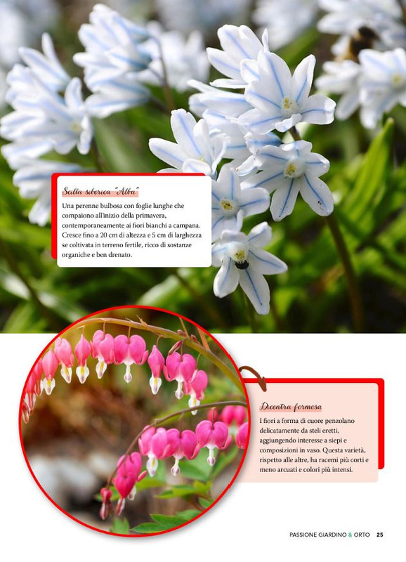 Pass Giar e Orto Apr-Mag 2025 (2)