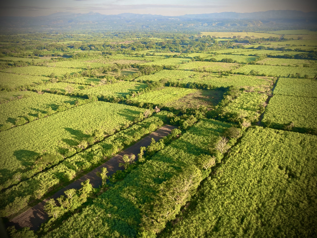 8A7843E7-CE70-4DE4-82B2-7AEFBC49FA18