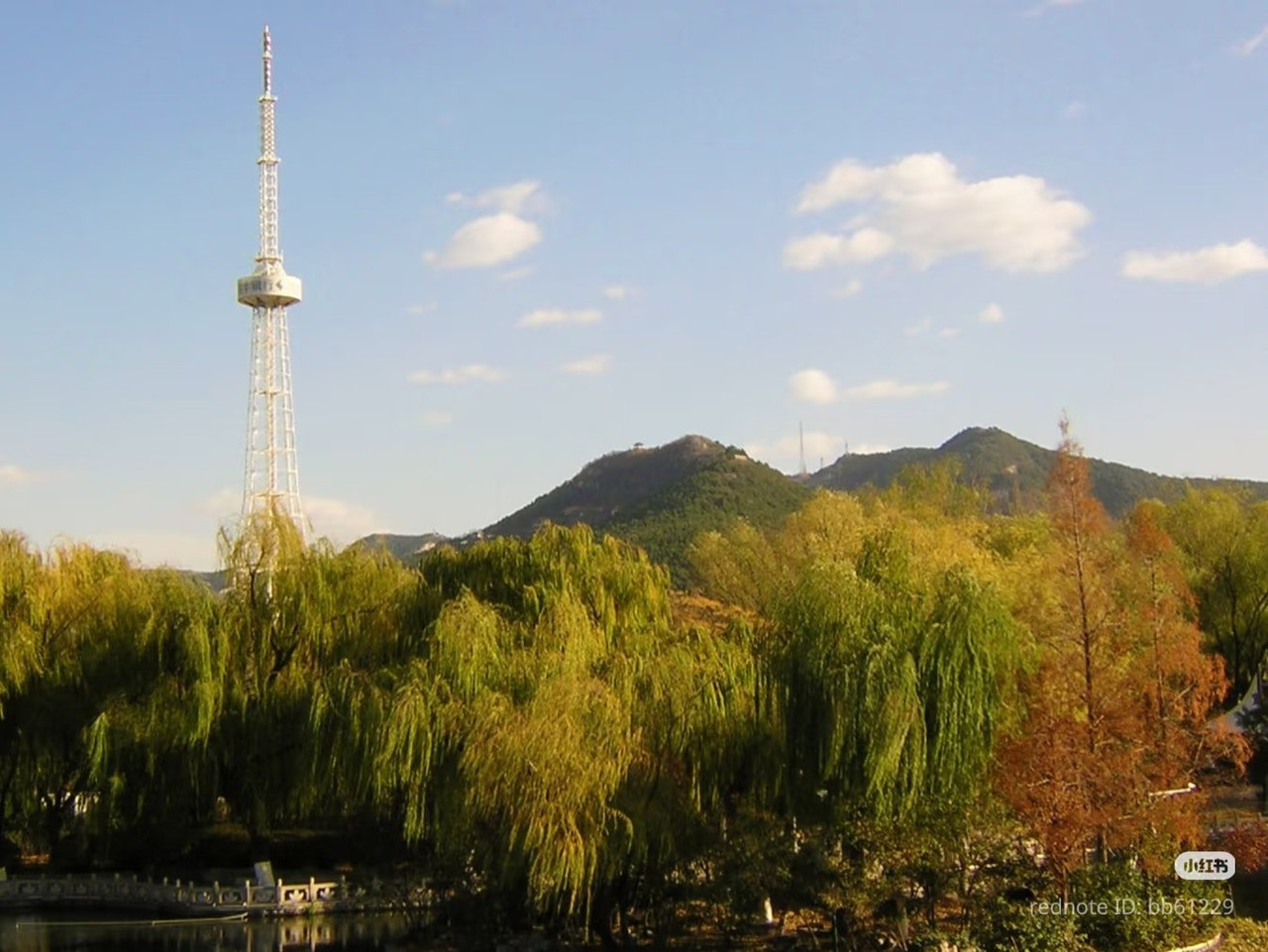 photo 11 2025 12 24 16 22 41