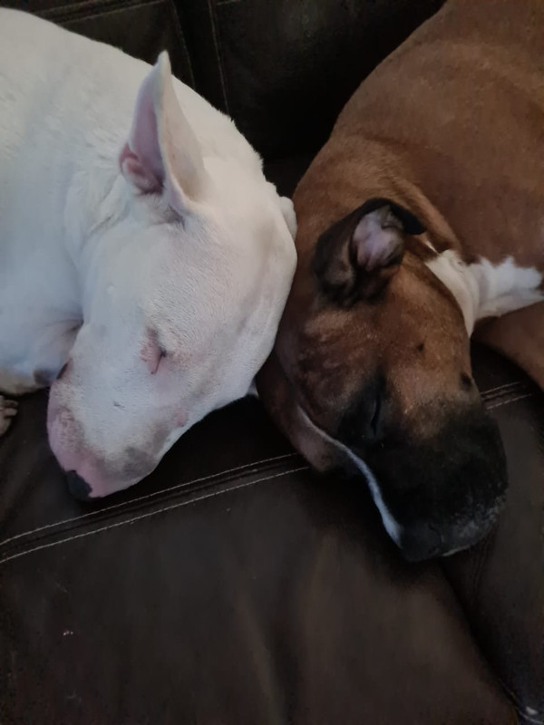 C5D3C7F7-F460-4A9E-A134-9701D95285A5