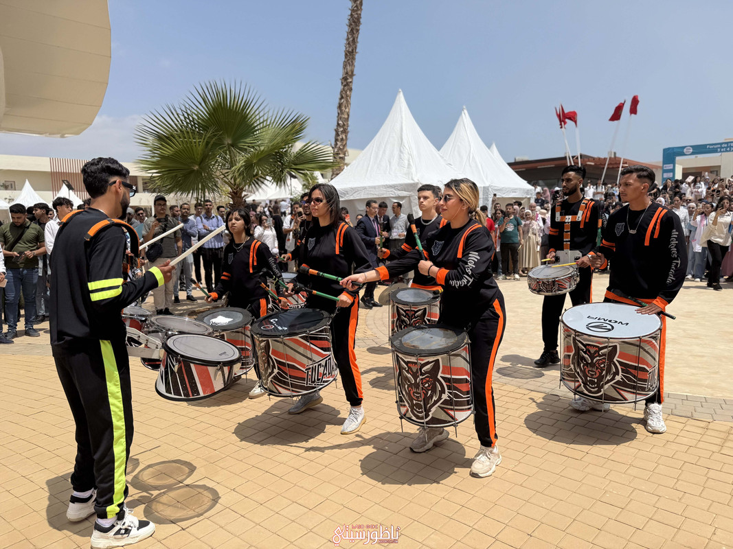 IMG-0595