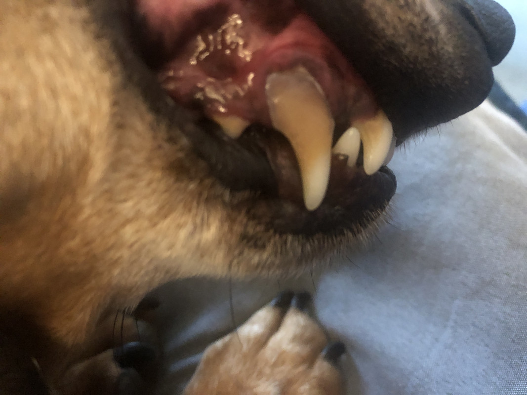 [Image: IMG-3406.jpg]