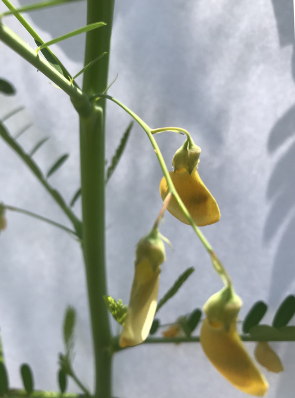 7868E22A-110A-4E69-9F7A-5E13A0A04F4F