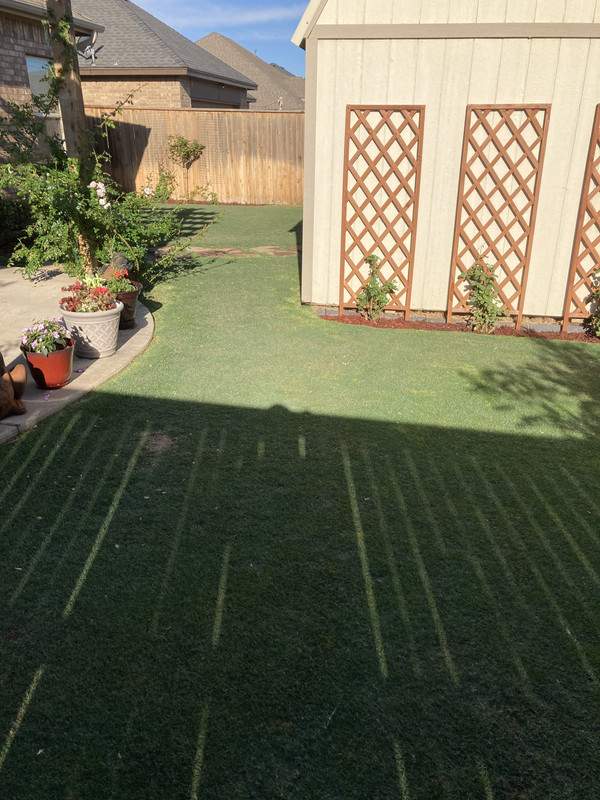 CFE4AC2F-5A72-4E56-97F4-3368CB96E357