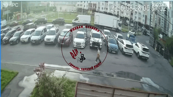 https://i.postimg.cc/zfRCDJTD/video-2026-08-29-03-58-45-(1).gif
