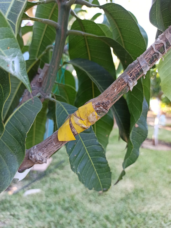 WhatsApp Image 2023-07-25 at 21.59.18 (2)