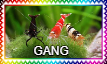 stamp-(6).png