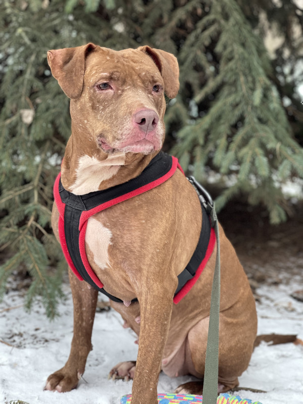 2CA522B3-7AC5-4B8C-89C3-7F453A4DEDAB