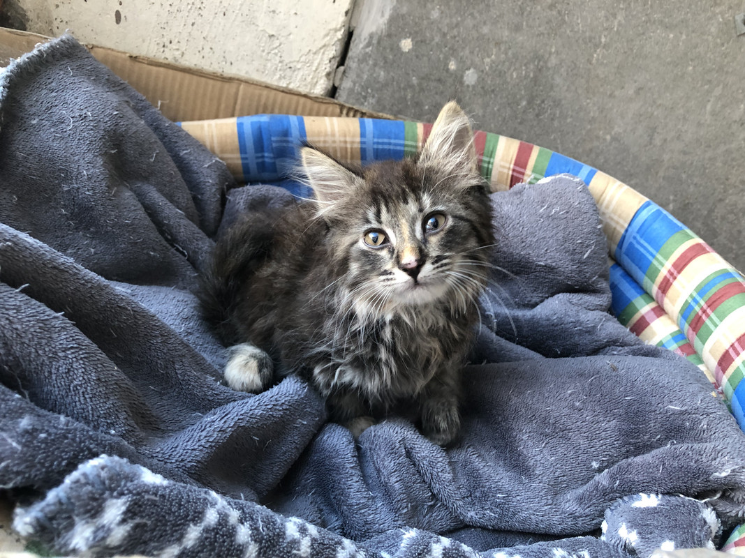 2A4CB842-4AC8-406F-BE2C-8655E852AD5E