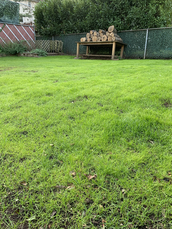 46E8F6F0-9B4F-4D7A-A06A-32EF0FF09EB7