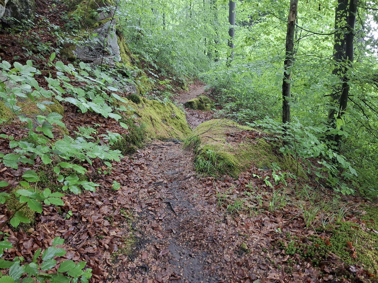 20260511-105647.jpg