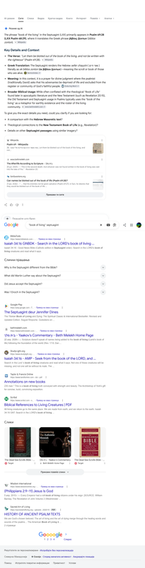 Opera Snapshot 2026 09 17 132702 www google com